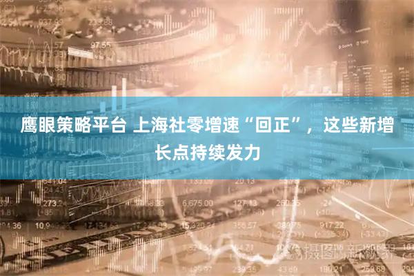鹰眼策略平台 上海社零增速“回正”，这些新增长点持续发力