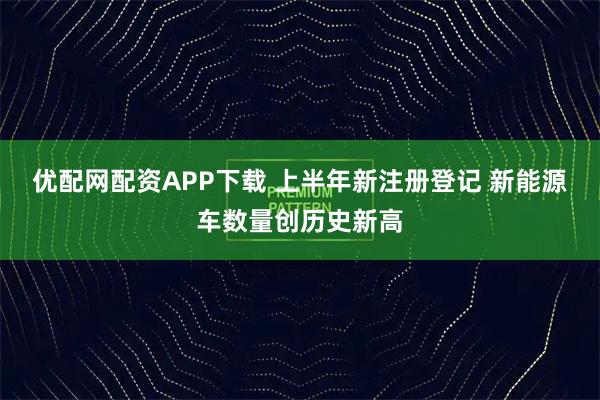 优配网配资APP下载 上半年新注册登记 新能源车数量创历史新高