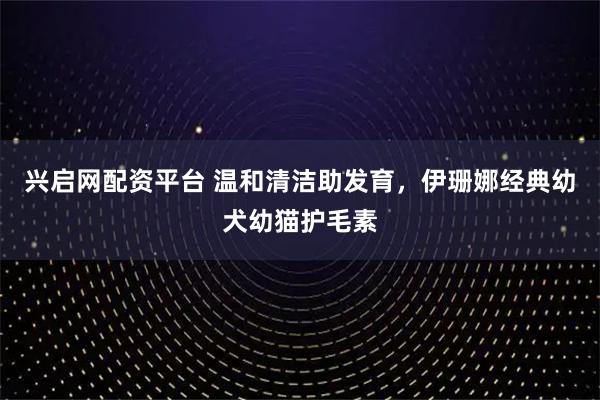 兴启网配资平台 温和清洁助发育，伊珊娜经典幼犬幼猫护毛素