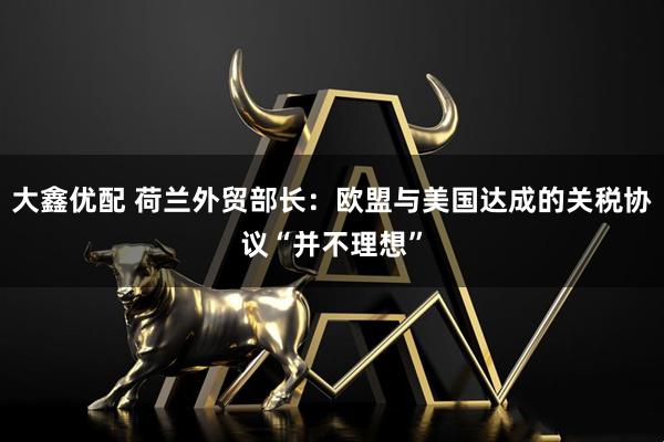 大鑫优配 荷兰外贸部长：欧盟与美国达成的关税协议“并不理想”