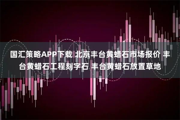 国汇策略APP下载 北京丰台黄蜡石市场报价 丰台黄蜡石工程刻字石 丰台黄蜡石放置草地